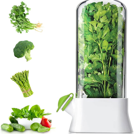 Premium Herb Keeper for Refrigerator – Herb Saver Container Keeps Cilantro & Fresh Herbs Crisp Longer