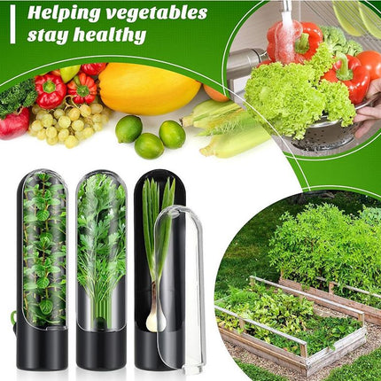 Herb Saver Pod - Fresh Herbs at Your Fingertips