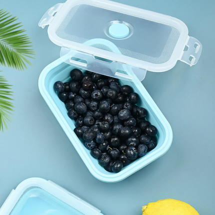 Silicone Lunch Box with Lid - Collapsible and Portable