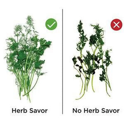 Herb Saver Pod - Fresh Herbs at Your Fingertips